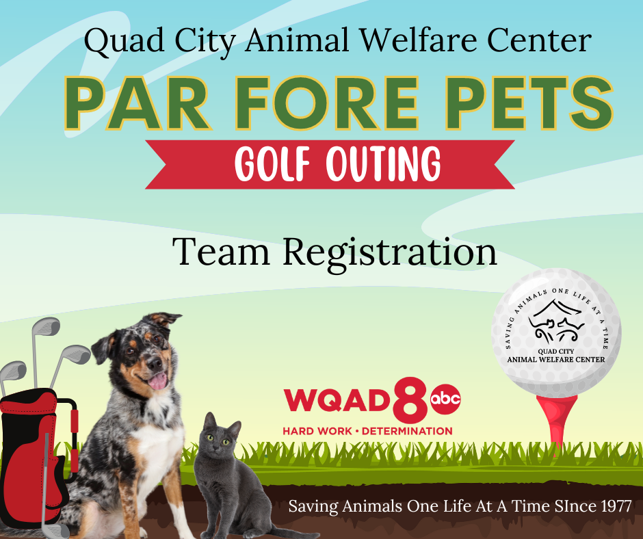 Team registration par fore pets facebook